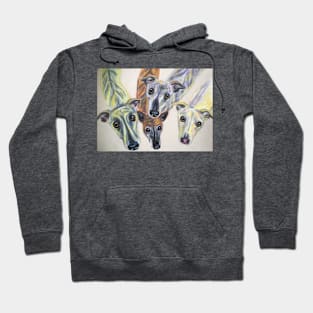 Colourful whippets Hoodie